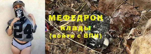 индика Коряжма