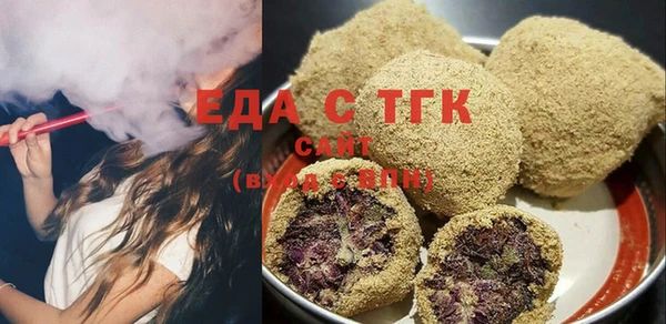 индика Коряжма