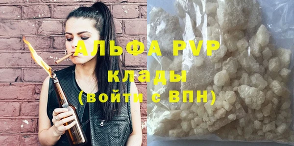 индика Коряжма