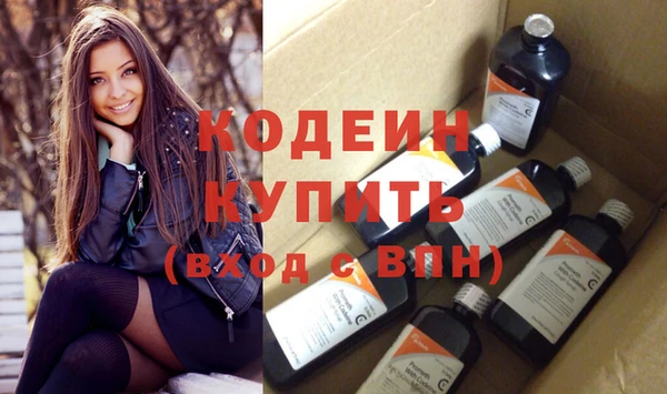 индика Коряжма