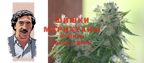 шишки Костерёво