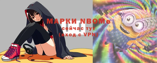 индика Коряжма
